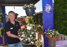 Remco Wertwijn with impatiens Glimmer. Glimmer new impatiens series. Sales of this variety have come pressure. There was a breakthrough in seed but not yet in cuttings and double flower. It is a mildew tolerant series and when so shines on it you see it 'shines'. In short: available in 6 colors, mildew resistant, cuttings.